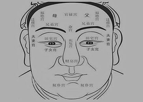 面相十二宫精准位置图解 面相十二宫代表什么