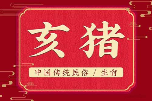 1995年属猪的今年多大了2023,95年的生肖猪兔年命运如何