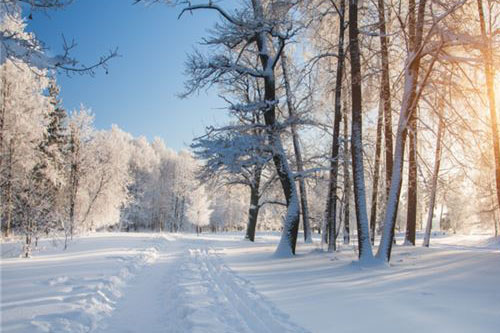 孕妇梦见雪意味着什么 孕妇梦到雪是什么意思